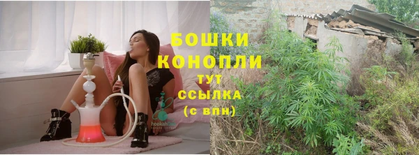 ГАЛЛЮЦИНОГЕННЫЕ ГРИБЫ Гусь-Хрустальный