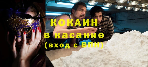 ГАЛЛЮЦИНОГЕННЫЕ ГРИБЫ Гусь-Хрустальный