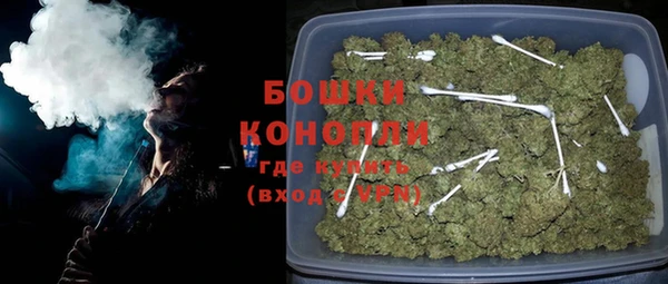 ГАЛЛЮЦИНОГЕННЫЕ ГРИБЫ Гусь-Хрустальный